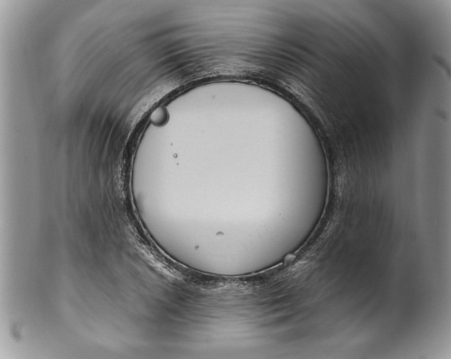 X0000099931026200806131357