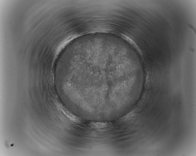 X0000099931027200806131357