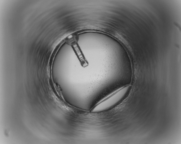 X0000099931028200806131357