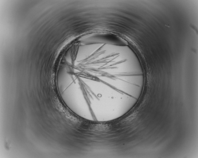 X0000099931029200806131357