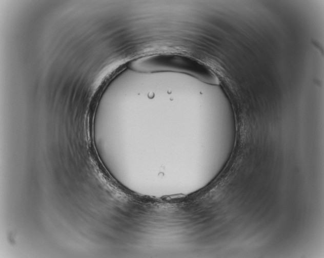 X0000099931030200806131357