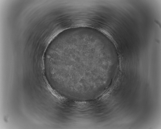 X0000099931031200806131357