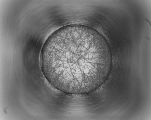 X0000099931032200806131357