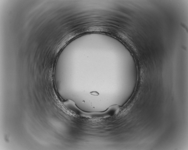 X0000099931033200806131357