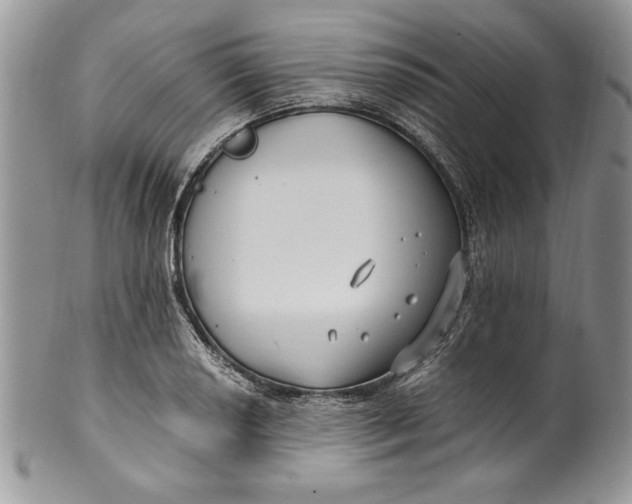 X0000099931034200806131357