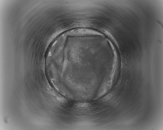 X0000099931035200806131357