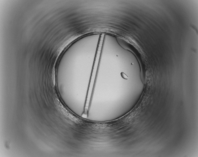 X0000099931036200806131357