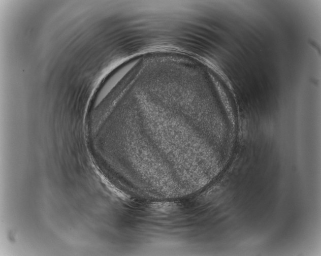 X0000099931037200806131358