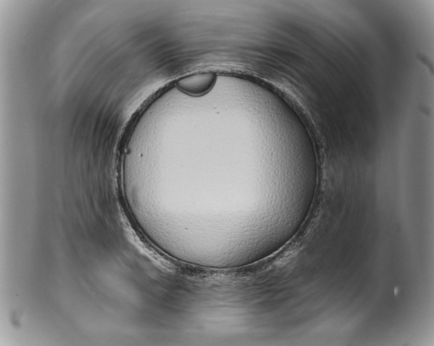 X0000099931038200806131358