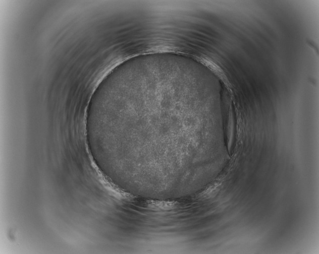 X0000099931039200806131358