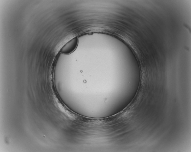 X0000099931042200806131358