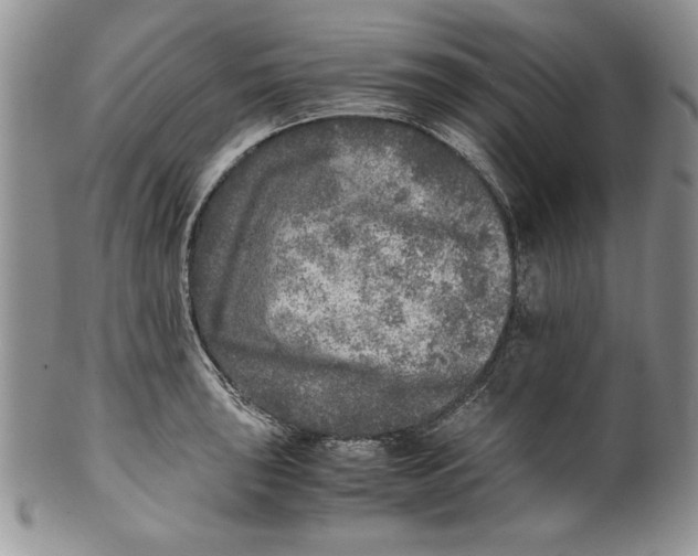 X0000099931043200806131358