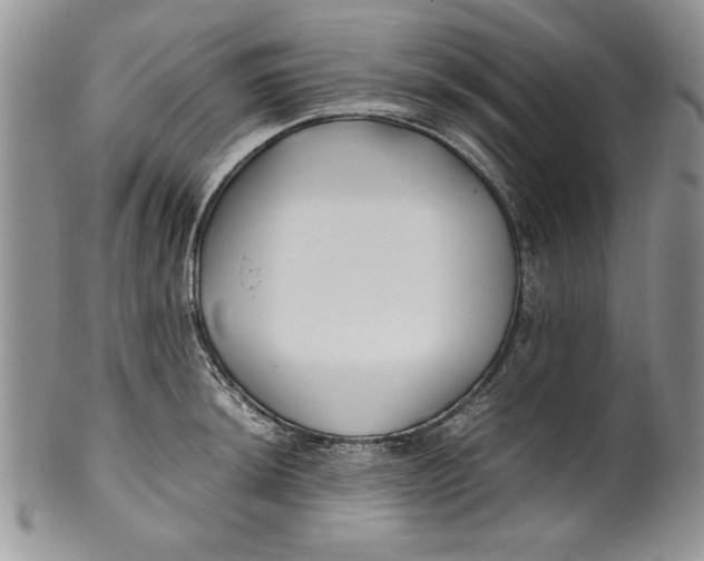 X0000099931044200806131358