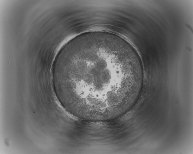 X0000099931045200806131358