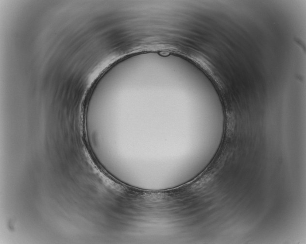 X0000099931046200806131358