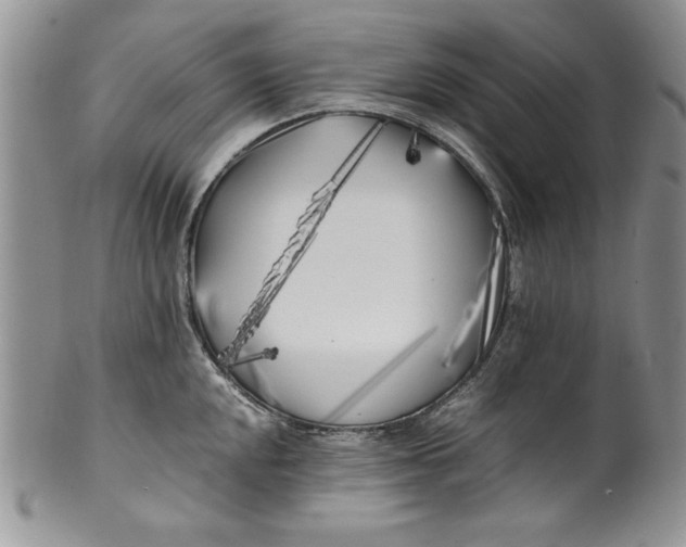 X0000099931048200806131358