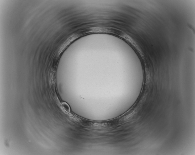 X0000099931049200806131358