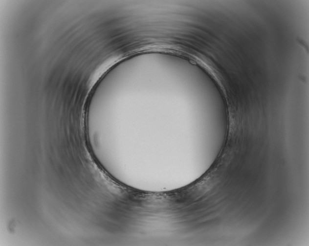 X0000099931050200806131358