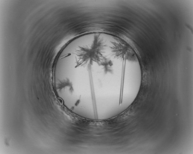 X0000099931051200806131358