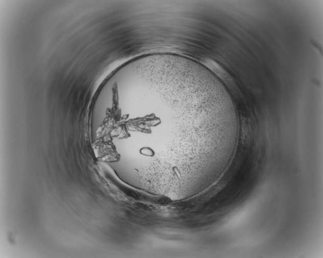 X0000099931052200806131358