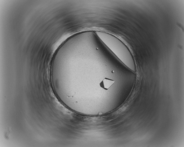 X0000099931054200806131358