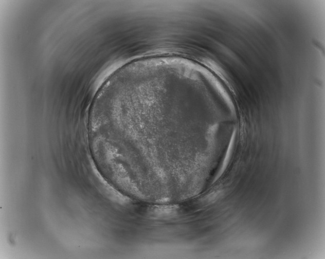 X0000099931055200806131358