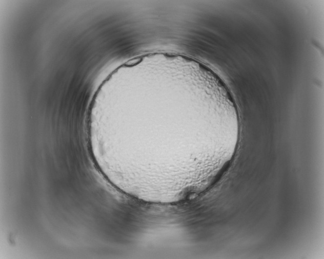 X0000099931056200806131358