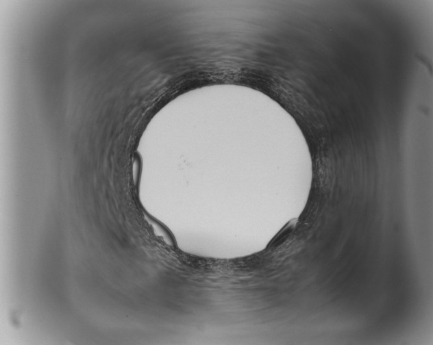 X0000099931057200806131357