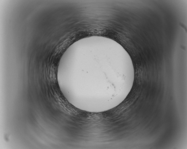 X0000099931058200806131357