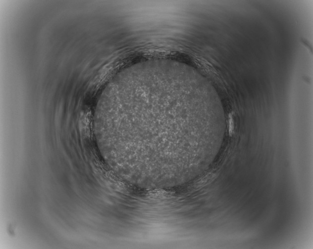 X0000099931059200806131357