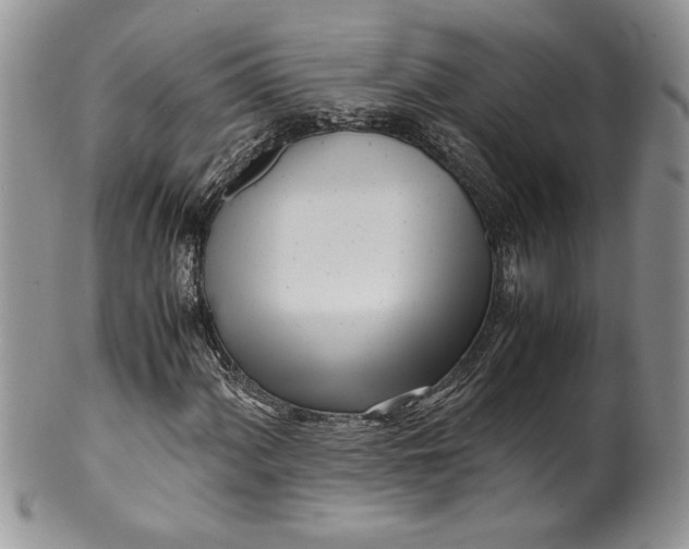 X0000099931060200806131357