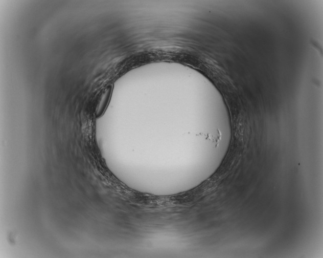 X0000099931061200806131357