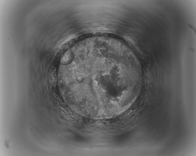 X0000099931063200806131357