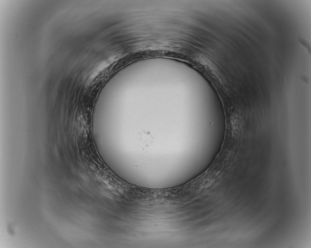 X0000099931064200806131357