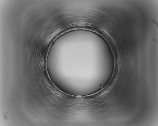 X0000099931065200806131357