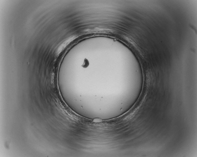 X0000099931066200806131357