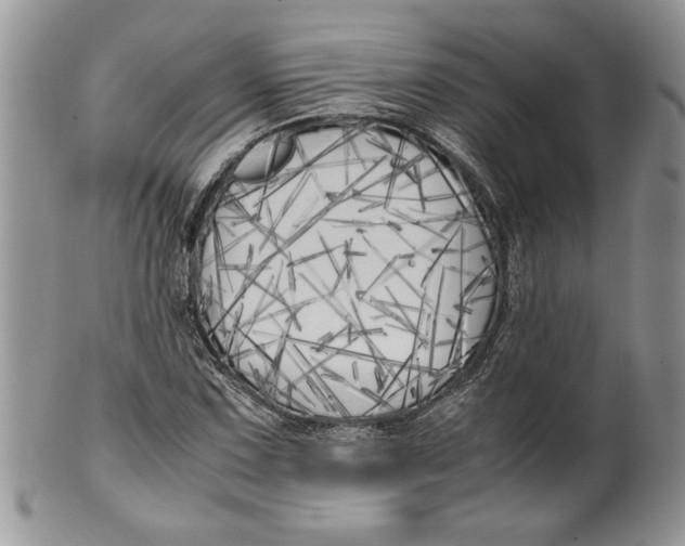 X0000099931067200806131357