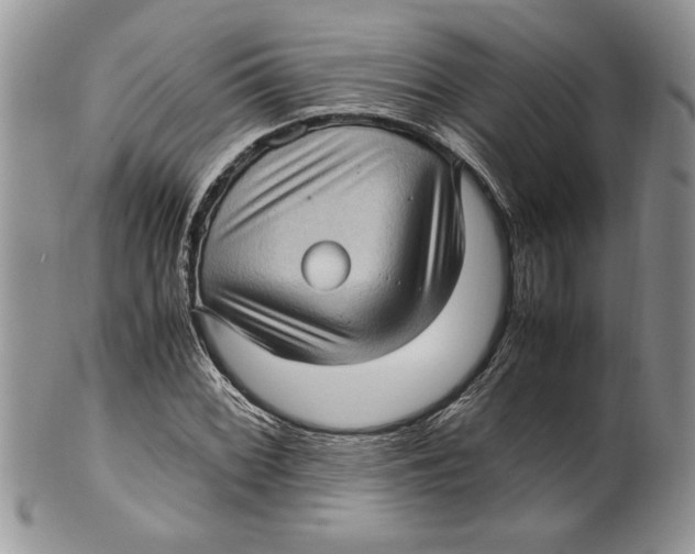 X0000099931068200806131357