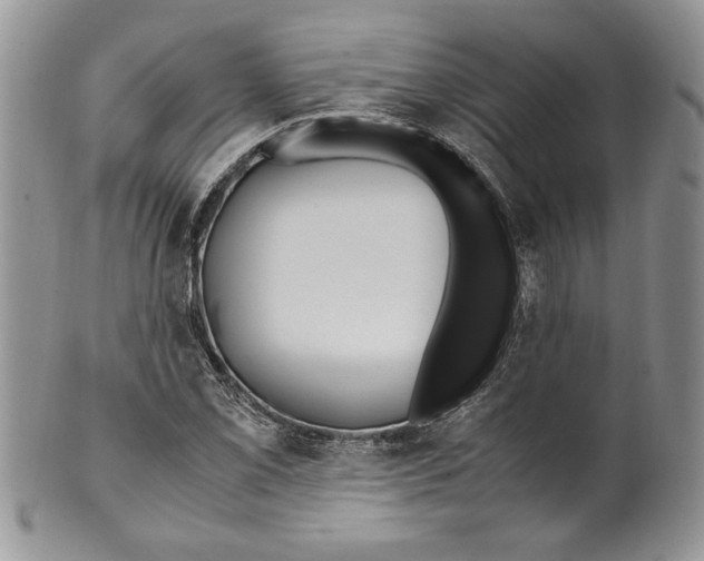 X0000099931069200806131357