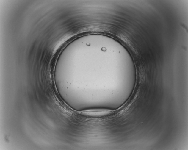 X0000099931070200806131357