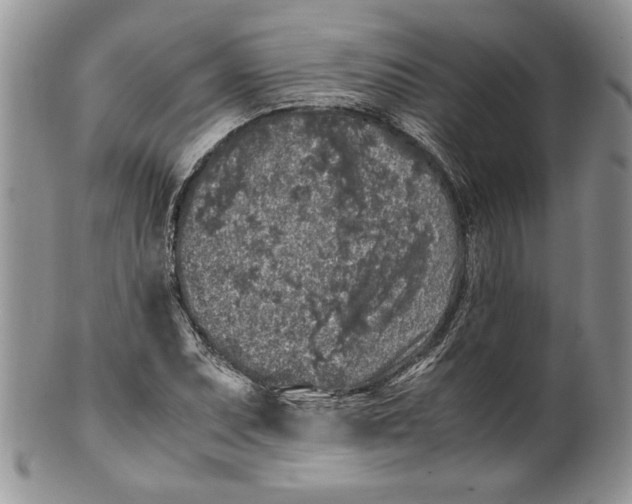 X0000099931071200806131357