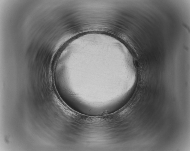 X0000099931072200806131357