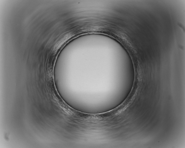 X0000099931073200806131357