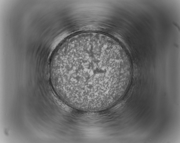 X0000099931075200806131357