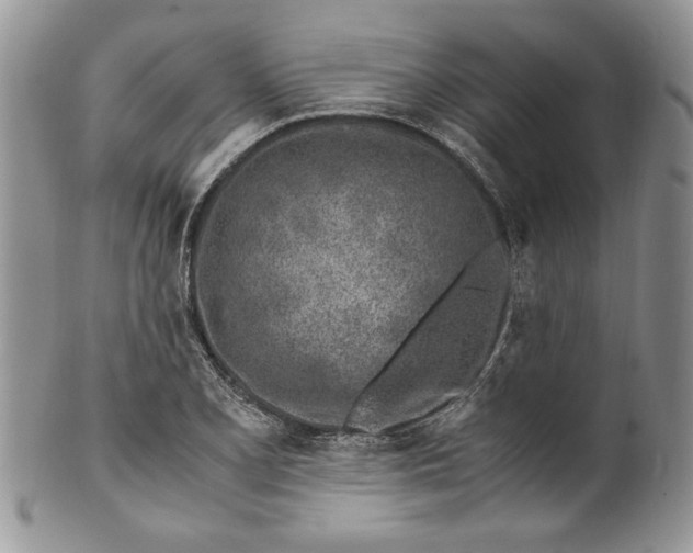 X0000099931077200806131357