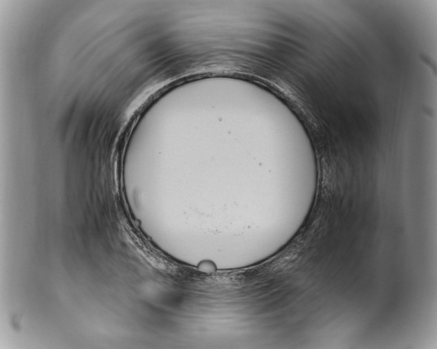 X0000099931078200806131357