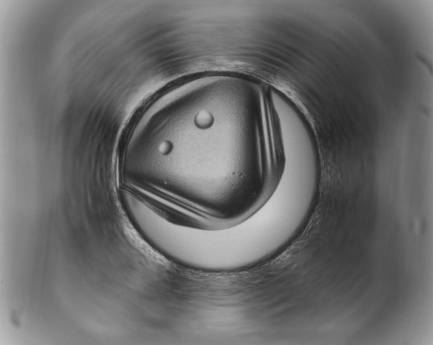 X0000099931080200806131357