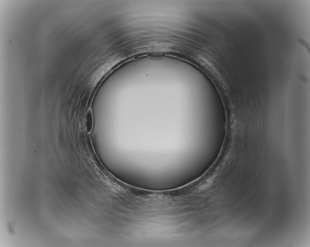 X0000099931081200806131357