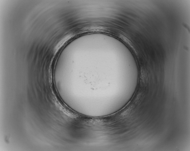 X0000099931082200806131357