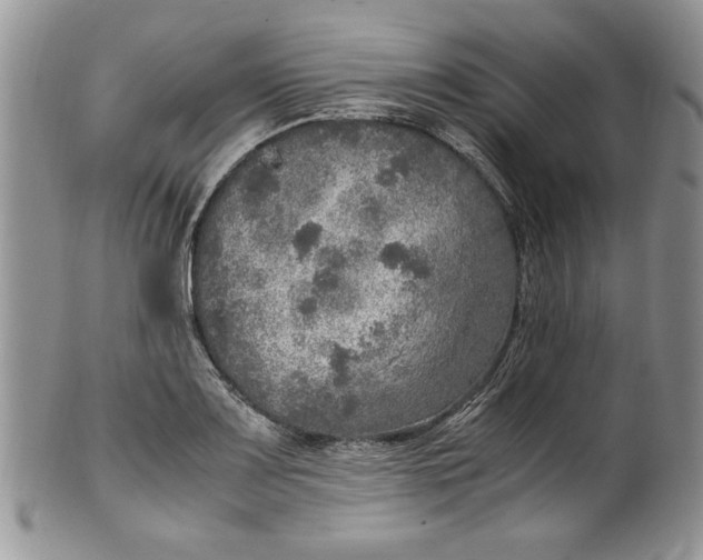 X0000099931083200806131357